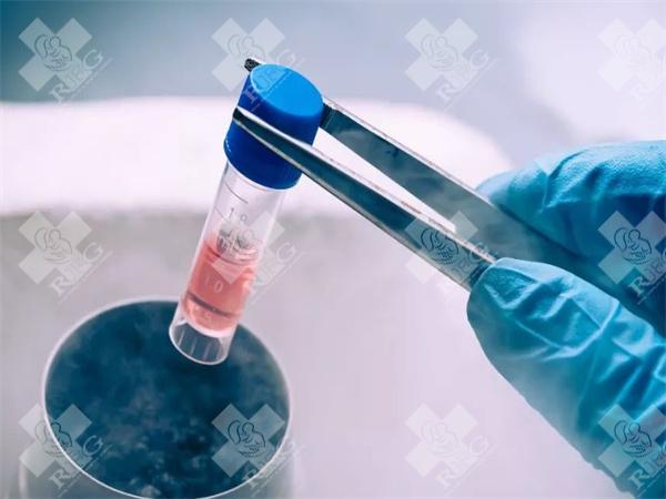 三特需后多久可以移植？如何提高三代试管着床率？