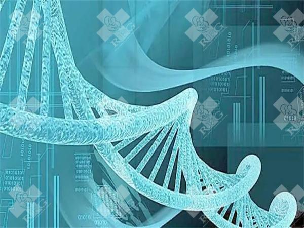 三代试管一般要几次才可以成功？三代试管需要多久能做成功？
