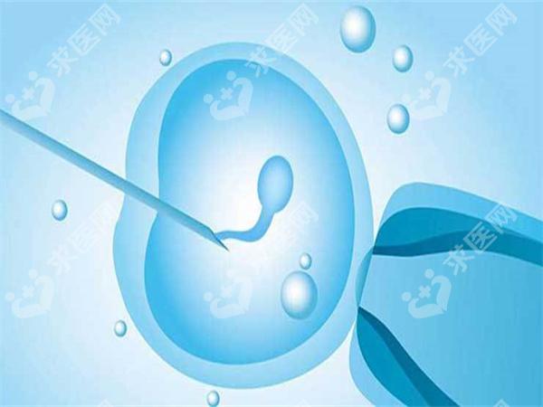 备孕首先应该了解什么？宫颈黏液和排卵期是什么？