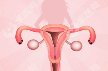 广东地区有哪些私立的机构可以做试管技术?严重宫腔粘连手术后导致子宫内膜变薄了做试管婴儿成功率高吗？