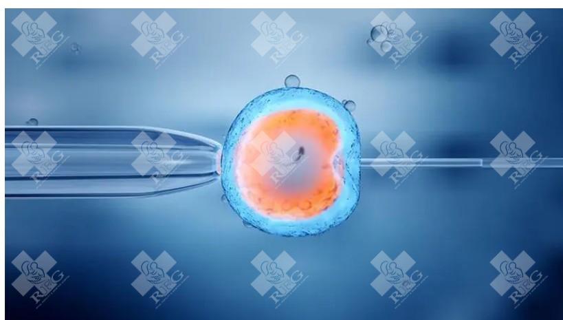 湘潭胖多囊可以直接做试管吗？附科学调治建议