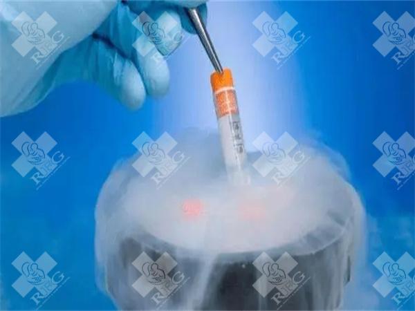 试管囊胚移植有这些条件，囊胚发育情况和子宫内膜都很重要！