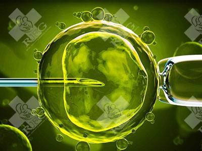 什么是子宫内膜厚度？什么厚度适合试管移植？