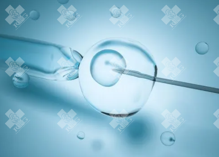 荆门京山市试管婴儿哪家医院好？