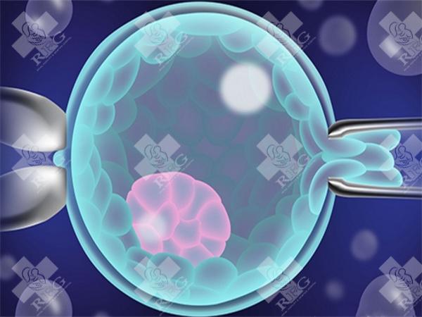 试管移植后还会出现胎停吗？移植后孕囊发育慢有可能会保胎成功吗？