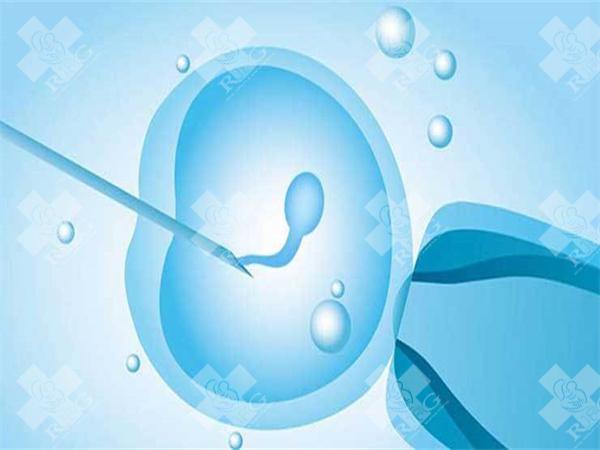 哪种胚胎适合试管移植？胚胎移植后需要注意什么？