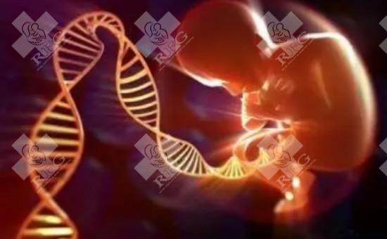 嘉兴嘉善县试管婴儿哪个医院好？