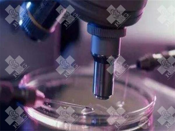 为什么做试管婴儿前必须检查性激素六项?检查的注意事项有哪些?