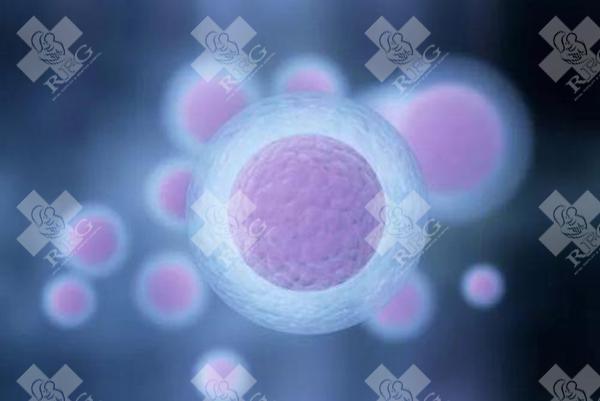 宜春铜鼓县试管婴儿哪家医院好?