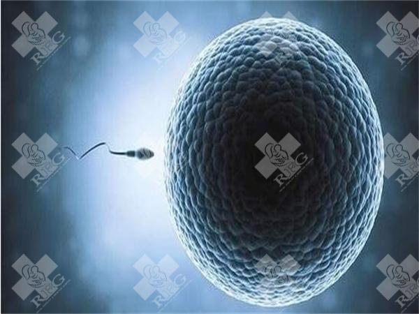 厦门第三代试管婴儿哪里可以做?第三代试管婴儿费用多少?