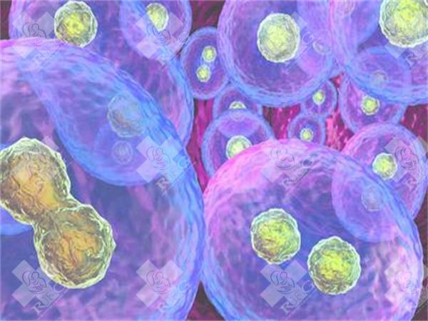 如何调节试管怀孕?怎样做试管婴儿调理好?