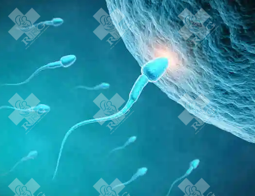 亳州涡阳县试管婴儿可以做吗?