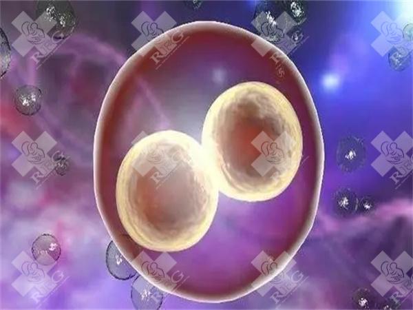 第三代试管婴儿要检查哪些项目?试管婴儿成功后应检查哪些项目?