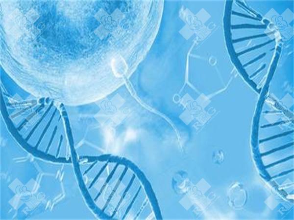 40岁女人备孕注意什么?怀孕好不好?