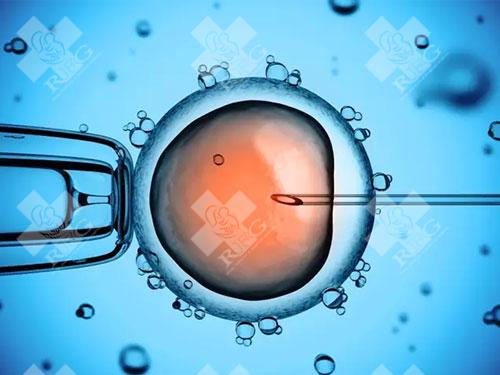 如何判断试管婴儿采卵后能否移植成功?