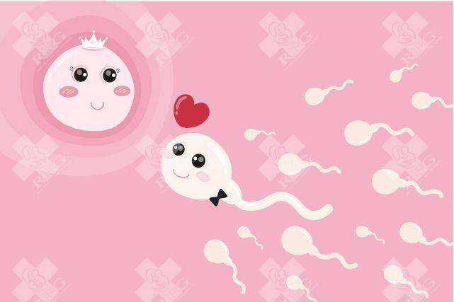 郑州中牟县试管婴儿可以做吗?