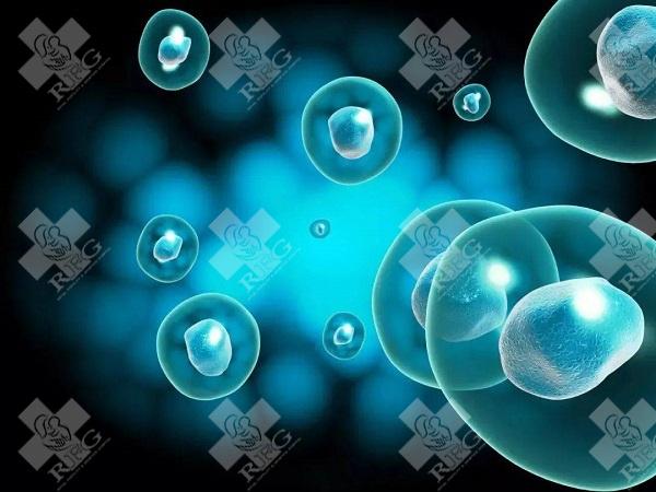 崇左凭祥市试管婴儿可以做吗?