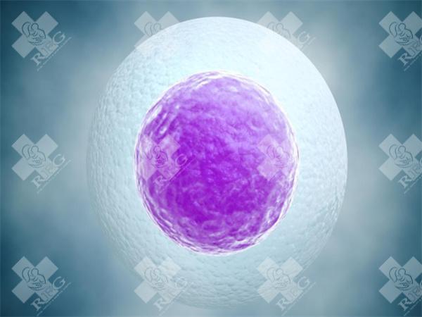 2024广州三代试管机构怎么样？附广州私立机构排名！