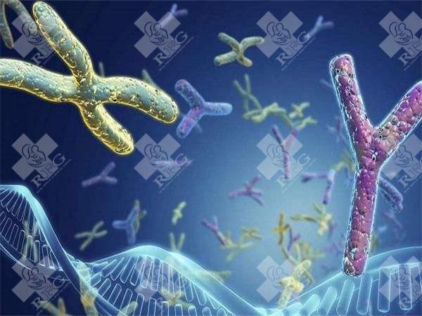 试管移植失败后来月经特别疼怎么办？可以吃止疼药吗？