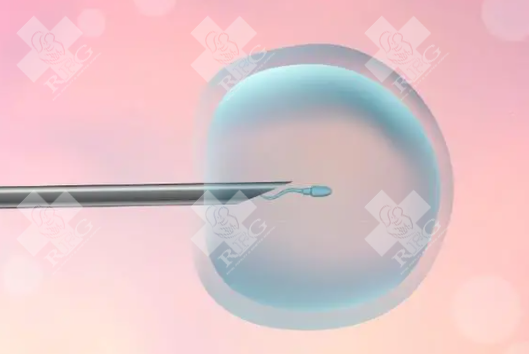 锦州太和区试管婴儿哪家做的好?