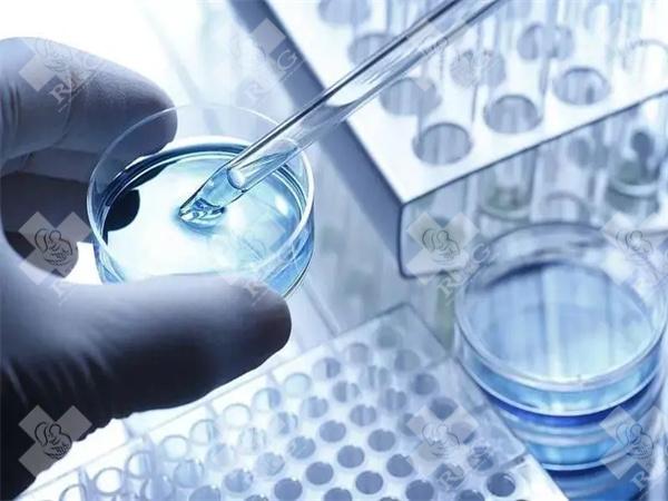石家庄生殖医院的试管成功率怎么样？分享试管费用一览！