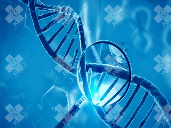 2024年江门公立医院做一次试管婴儿费用是多少？