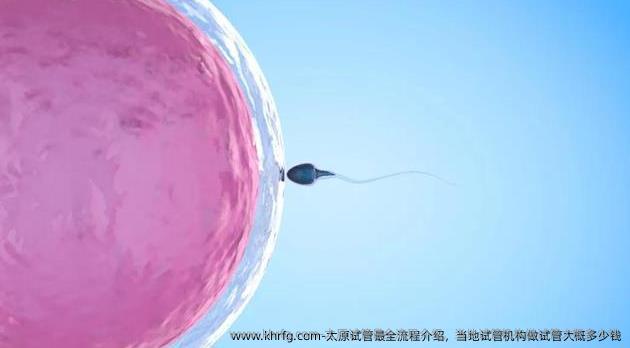 太原试管最全流程介绍，当地试管机构做试管大概多少钱
