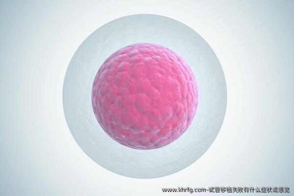 试管移植失败有什么症状或感觉