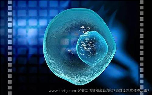 试管冷冻移植成功秘诀?如何提高移植成功率?