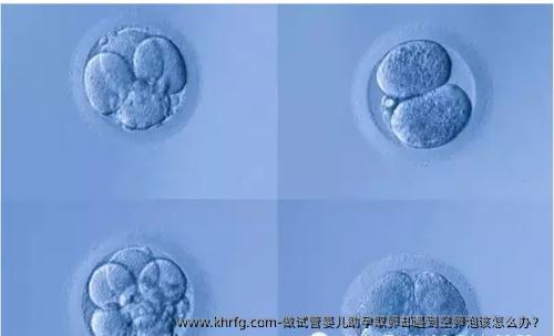 做试管婴儿助孕卵泡取出却遇到空卵泡该怎么办？