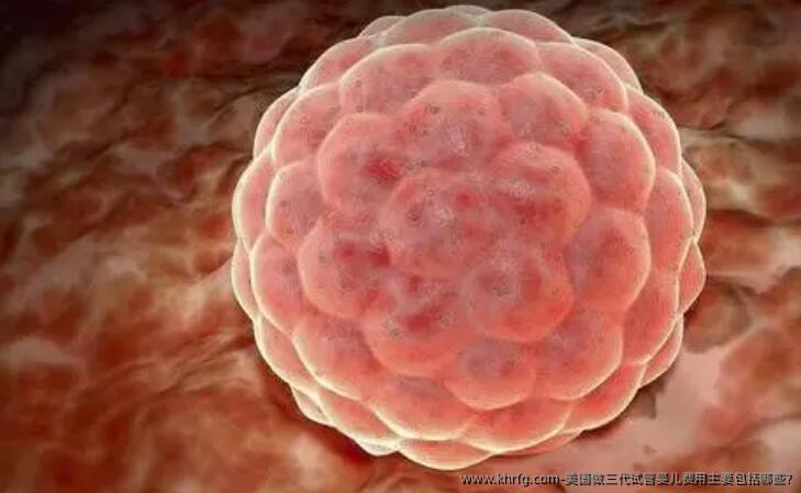 美国做三代试管婴儿费用主要包括哪些?