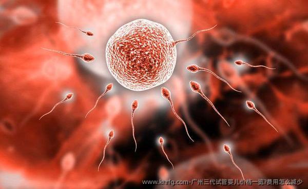 广州三代试管婴儿价格一览?费用怎么减少