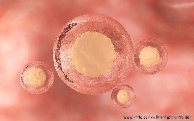单角子宫试管成功率高吗