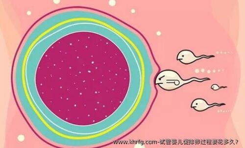 试管婴儿促排卵过程要花多久？