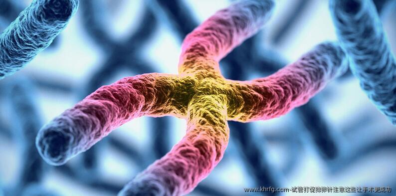 试管打促排卵针注意这些让手术更成功