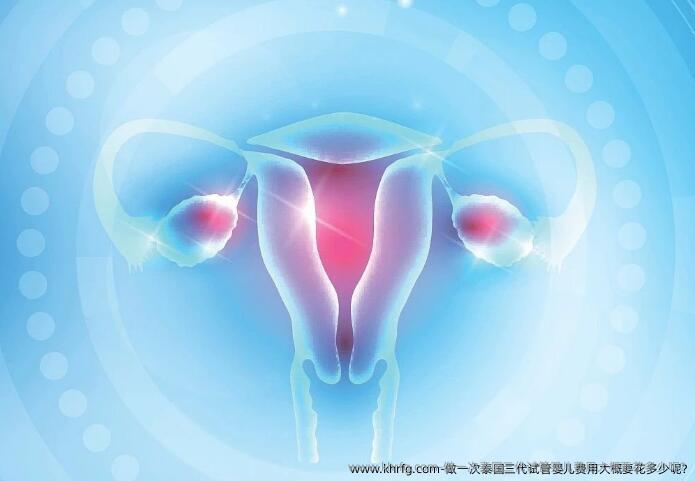 做一次泰国三代试管婴儿费用大概要花多少呢?
