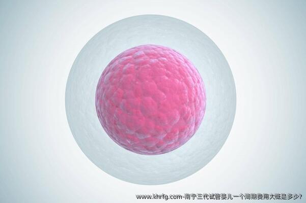 南宁三代试管婴儿一个周期费用大概是多少?