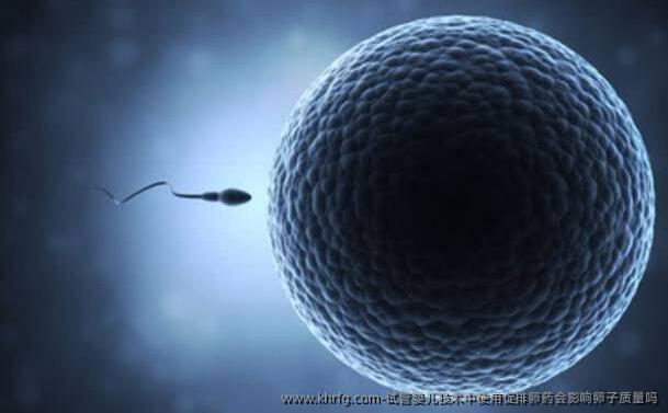 试管婴儿技术中使用促排卵药会影响卵子质量吗