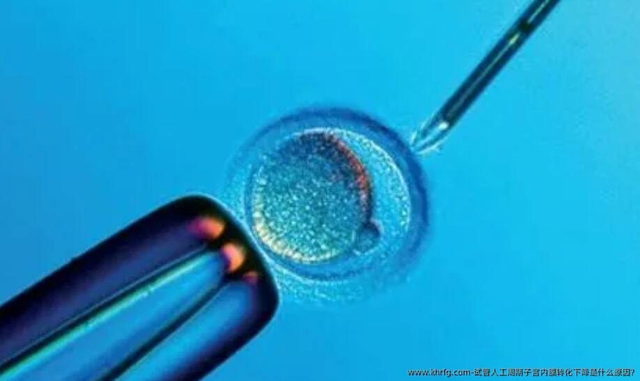 试管人工周期子宫内膜转化下降是什么原因?