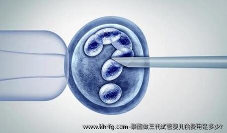 泰国做三代试管婴儿的费用是多少?