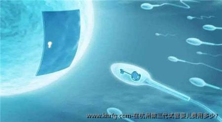 在杭州做三代试管婴儿费用多少?