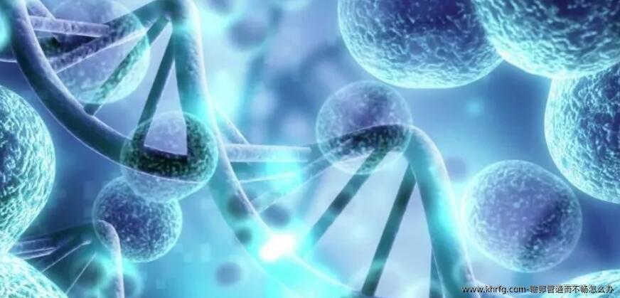 输卵管通而不畅怎么办