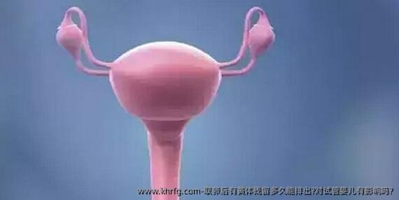 卵泡取出后有黄体残留多久能排出?对试管婴儿有影响吗?