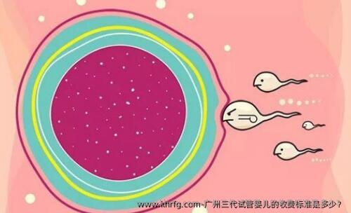广州三代试管婴儿的收费标准是多少？