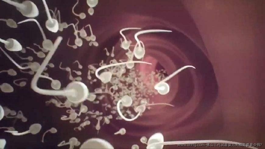 佛山三代试管婴儿大概需要多少钱?