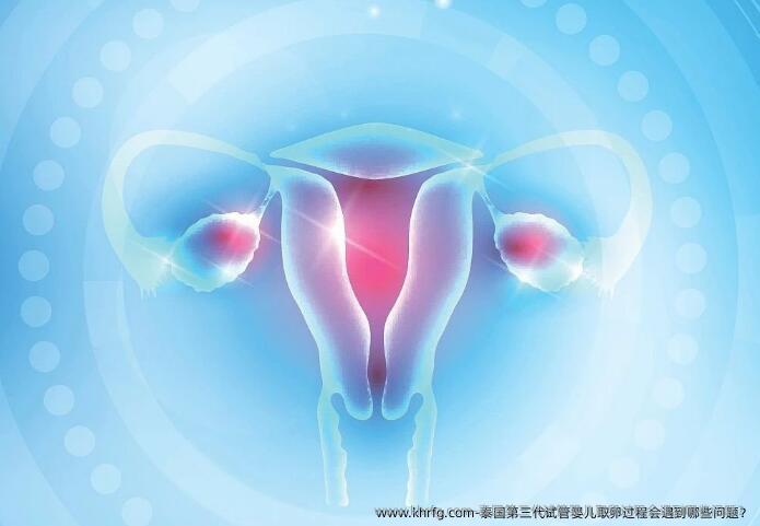 泰国第三特需过程会遇到哪些问题？