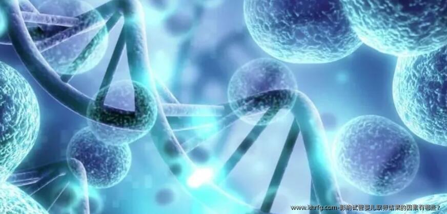 影响试管婴儿卵泡取出结果的因素有哪些？