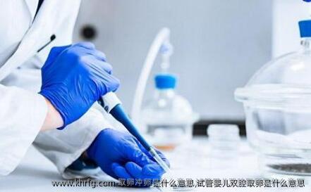 卵泡取出冲卵是什么意思,试管婴儿双腔卵泡取出是什么意思