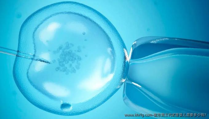 做东莞三代试管婴儿需要多少钱?