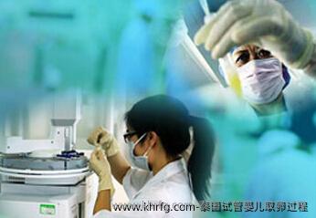 泰国试管婴儿卵泡取出过程